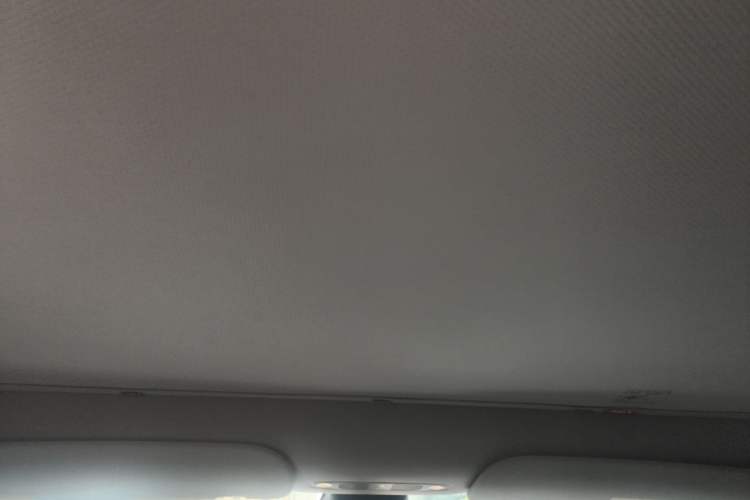 Used Tesla Model Y 2023 Rear-Wheel-Drive Version Headliner