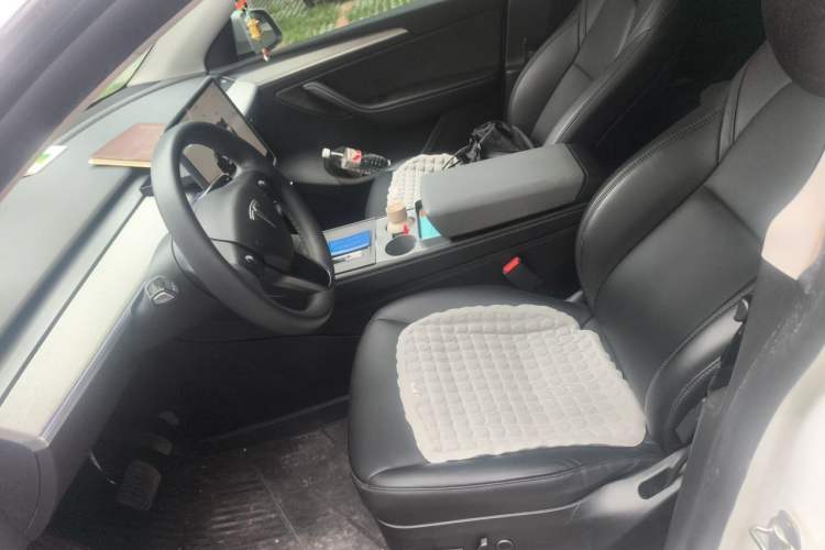 Used Tesla Model Y 2023 Rear-Wheel-Drive Version Left Front Seat