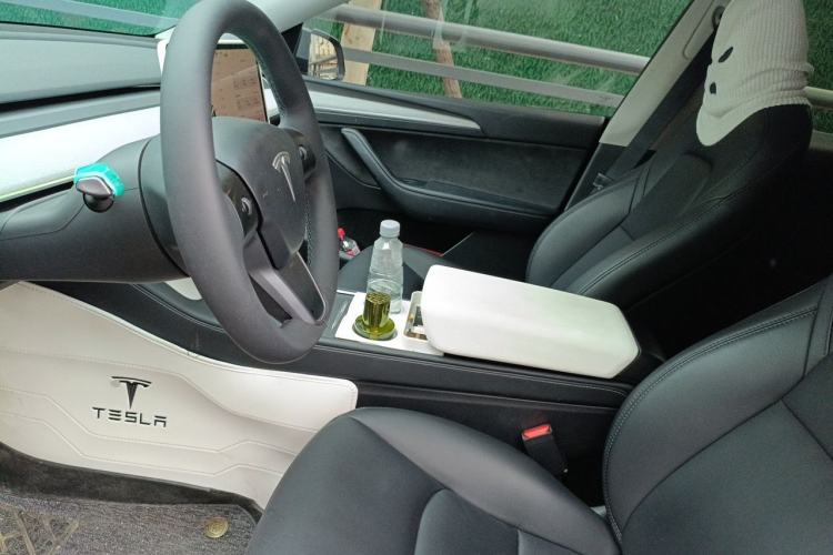 Used Tesla Model Y 2023 Rear-Wheel-Drive Version Left Front Seat
