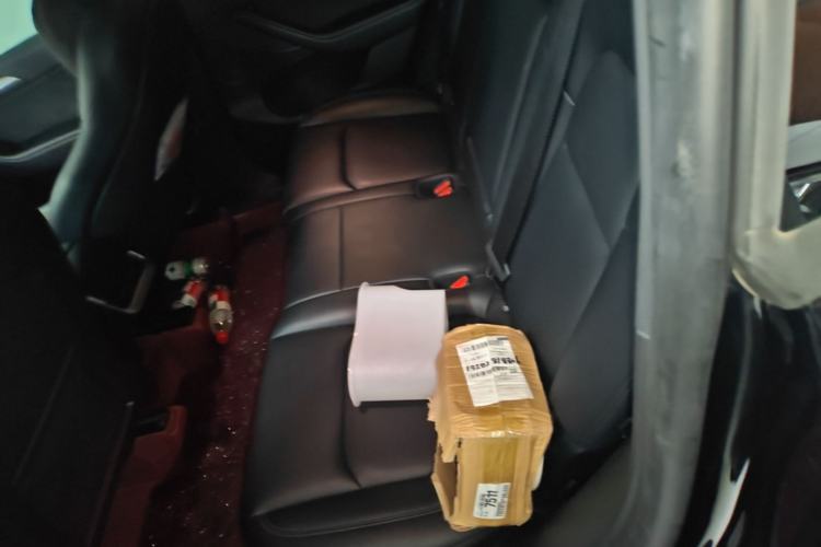 Used Tesla Model Y 2023 Rear-Wheel-Drive Version Left Rear Seat