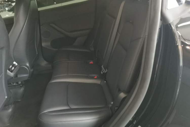 Used Tesla Model Y 2023 Rear-Wheel-Drive Version Left Rear Seat