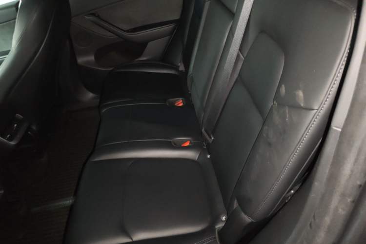 Used Tesla Model Y 2023 Rear-Wheel-Drive Version Left Rear Seat