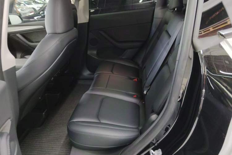 Used Tesla Model Y 2023 Rear-Wheel-Drive Version Left Rear Seat