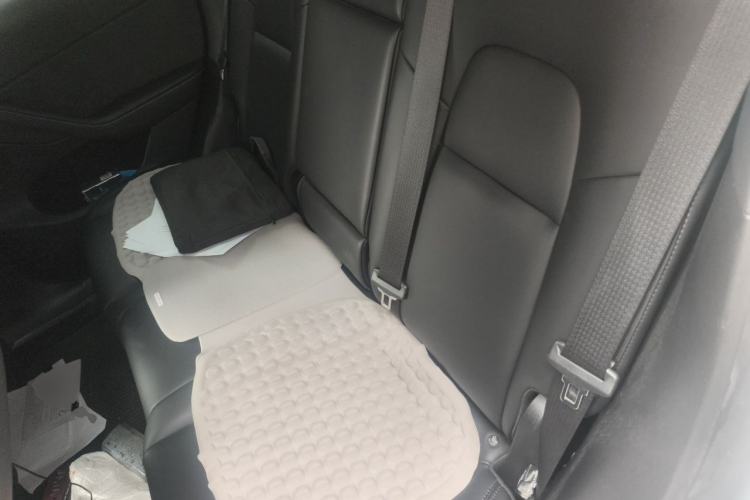 Used Tesla Model Y 2023 Rear-Wheel-Drive Version Left Rear Seat
