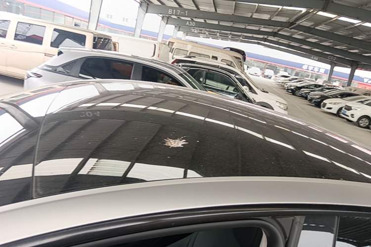 Used Tesla Model Y 2023 Long-Range All-Wheel-Drive Version Roof
