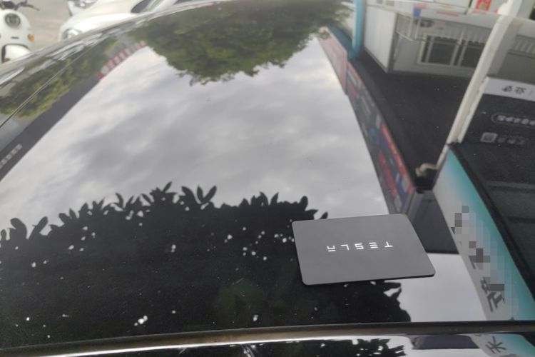 Used Tesla Model Y 2023 Rear-Wheel-Drive Version Roof