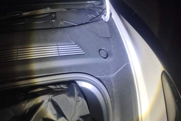 Used Tesla Model Y 2023 Rear-Wheel-Drive Version Engine Bay Left