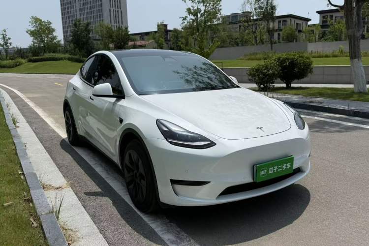 Used Tesla Model Y 2023 Rear-Wheel-Drive Version Exterior 1