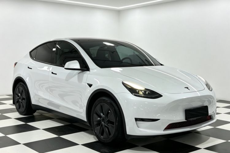 Used Tesla Model Y 2023 Long-Range All-Wheel-Drive Version Exterior 1