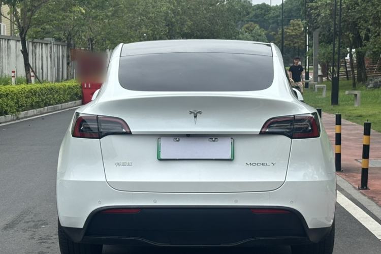 Used Tesla Model Y 2023 Rear-Wheel-Drive Version Exterior 1