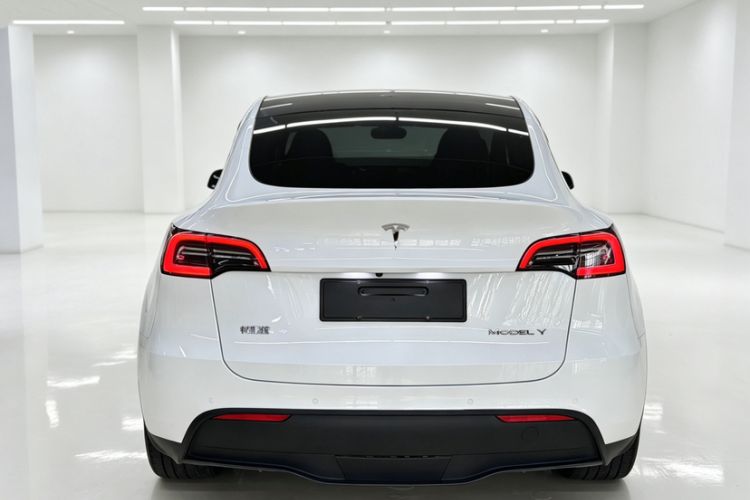 Used Tesla Model Y 2023 Rear-Wheel-Drive Version Exterior 1