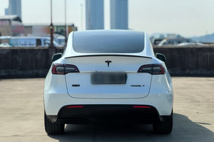 Used Tesla Model Y 2023 Rear-Wheel-Drive Version Exterior 2