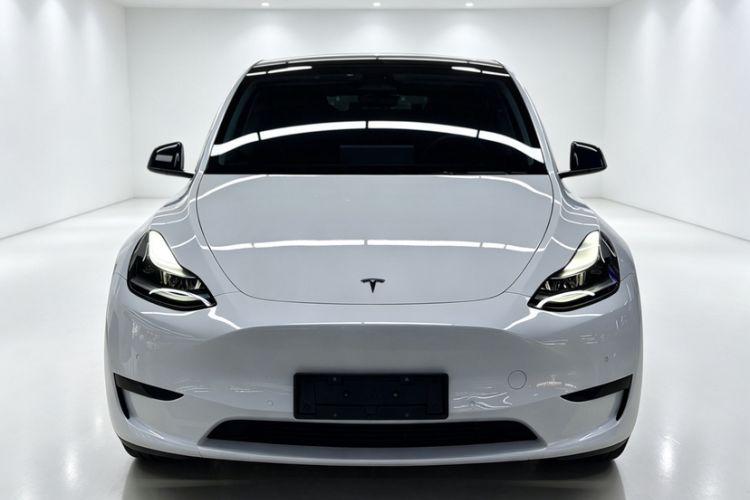 Used Tesla Model Y 2023 Rear-Wheel-Drive Version Exterior 2