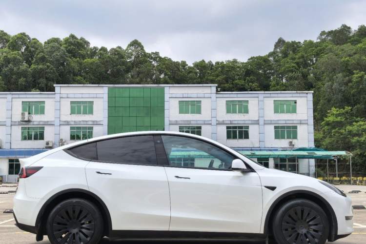 Used Tesla Model Y 2023 Long-Range All-Wheel-Drive Version Exterior 3