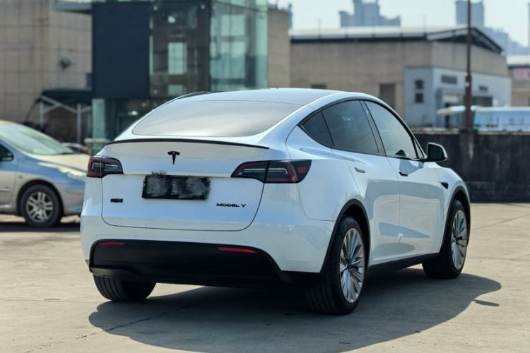 Used Tesla Model Y 2023 Rear-Wheel-Drive Version Exterior 3