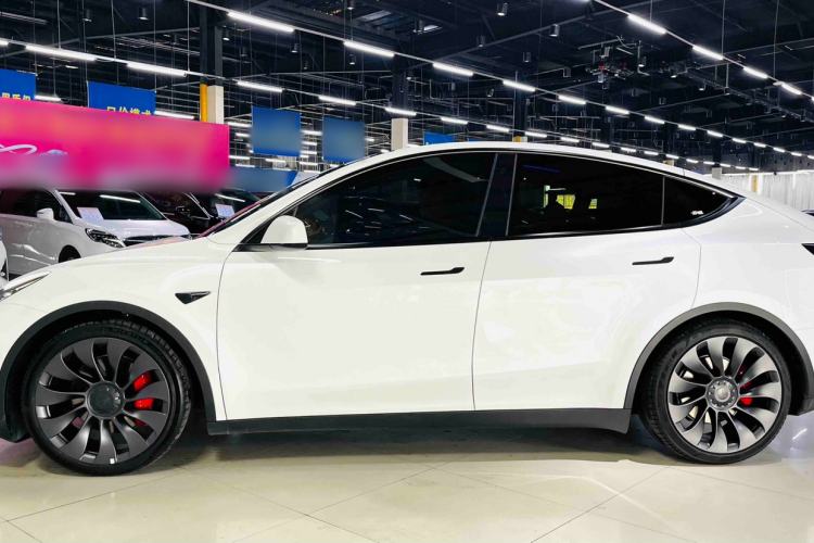 Used Tesla Model Y 2023 High-Performance All-Wheel-Drive Version Exterior 4
