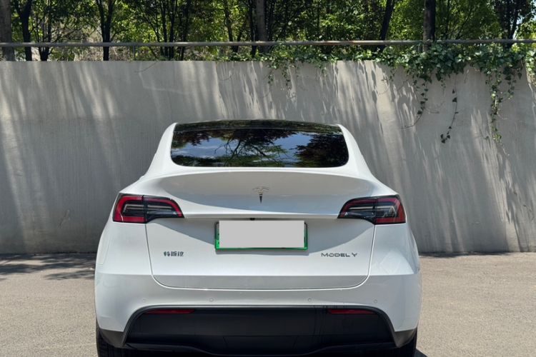 Used Tesla Model Y 2023 Rear-Wheel-Drive Version Exterior 4