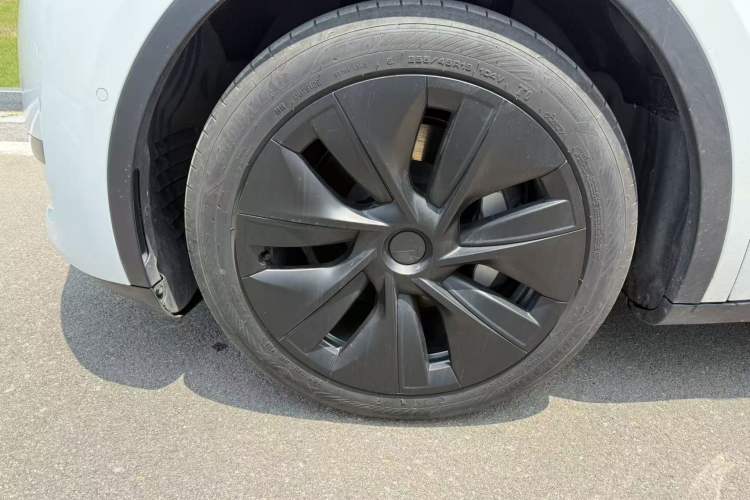 Used Tesla Model Y 2023 Rear-Wheel-Drive Version Exterior 4