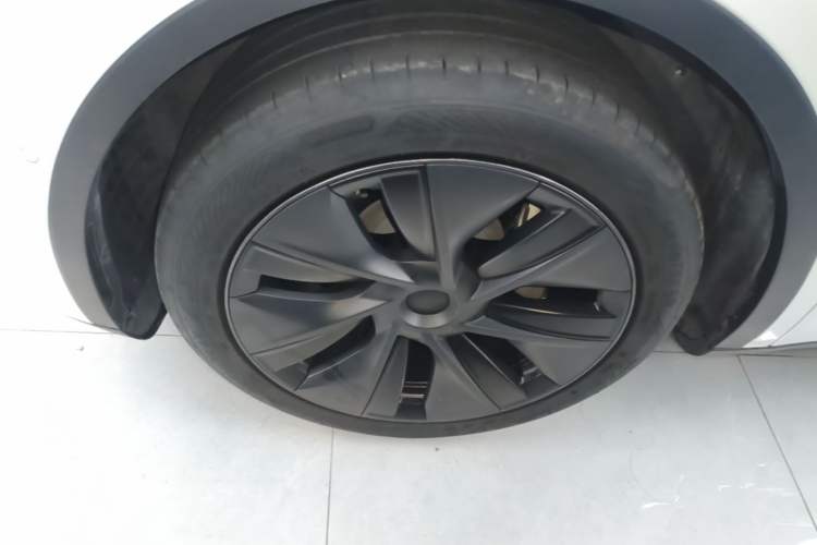 Used Tesla Model Y 2023 Rear-Wheel-Drive Version Exterior 4