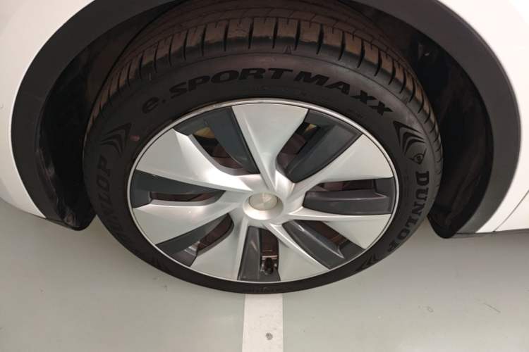 Used Tesla Model Y 2023 Long-Range All-Wheel-Drive Version Exterior 4