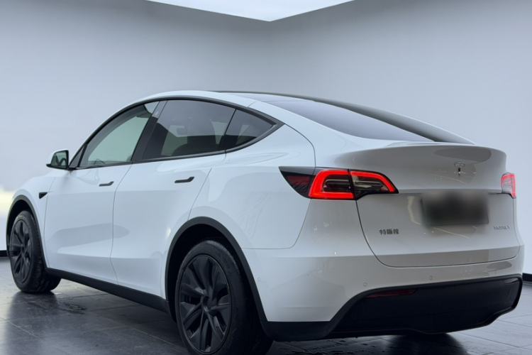 Used Tesla Model Y 2023 Rear-Wheel-Drive Version Exterior 4