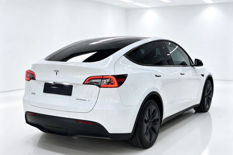 Used Tesla Model Y 2023 Rear-Wheel-Drive Version Exterior 4