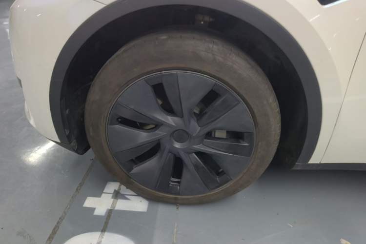 Used Tesla Model Y 2023 Rear-Wheel-Drive Version Exterior 4