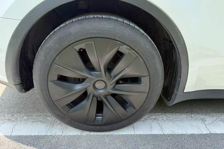 Used Tesla Model Y 2023 Rear-Wheel-Drive Version Exterior 5
