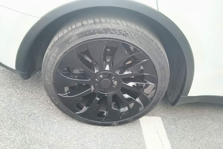 Used Tesla Model Y 2023 Long-Range All-Wheel-Drive Version Exterior 5