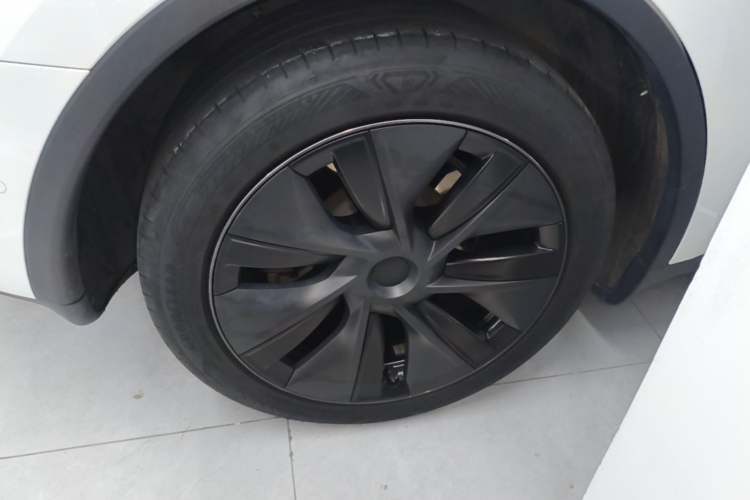 Used Tesla Model Y 2023 Rear-Wheel-Drive Version Exterior 5