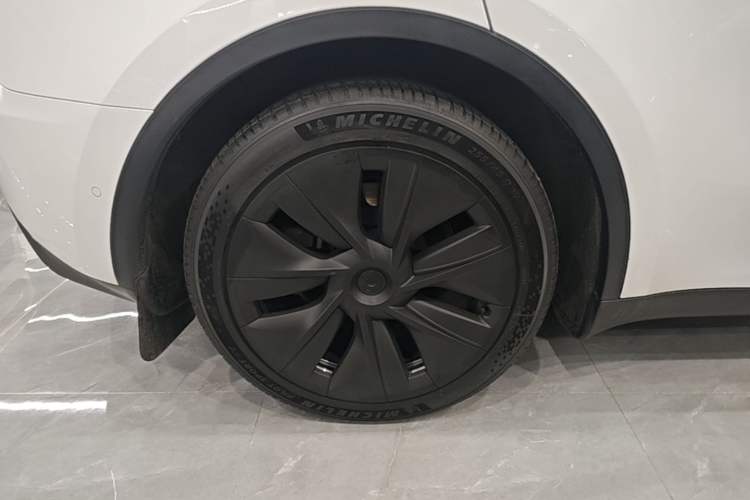 Used Tesla Model Y 2023 Rear-Wheel-Drive Version Exterior 5