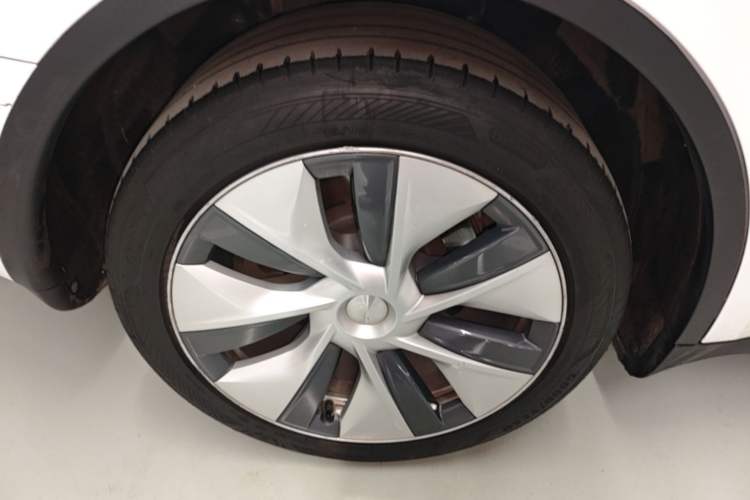 Used Tesla Model Y 2023 Long-Range All-Wheel-Drive Version Exterior 5