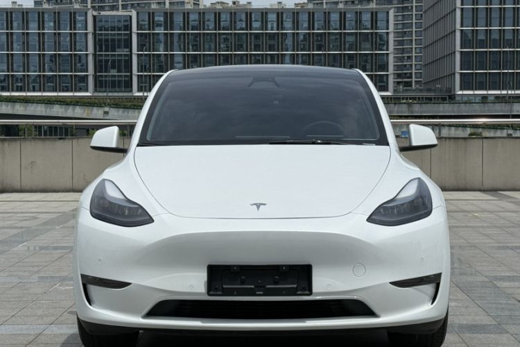 Used Tesla Model Y 2023 Long-Range All-Wheel-Drive Version Exterior 5