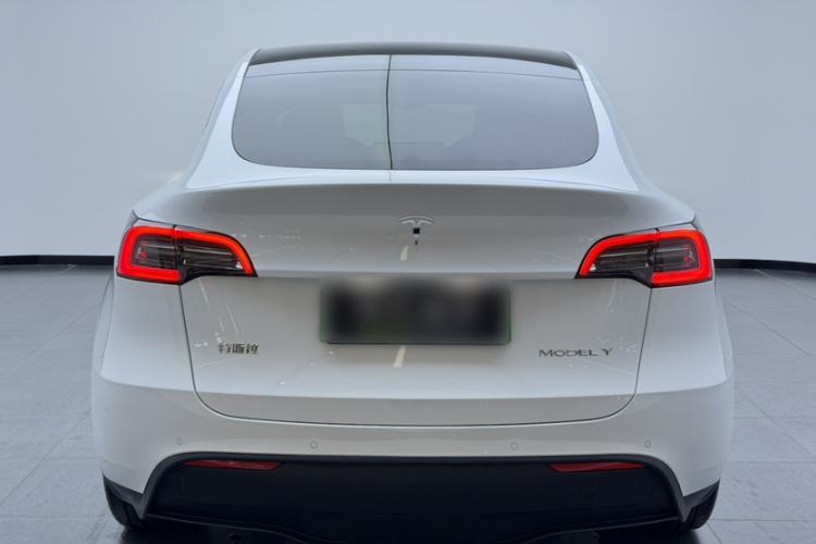 Used Tesla Model Y 2023 Rear-Wheel-Drive Version Exterior 5
