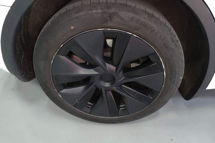 Used Tesla Model Y 2023 Rear-Wheel-Drive Version Exterior 5