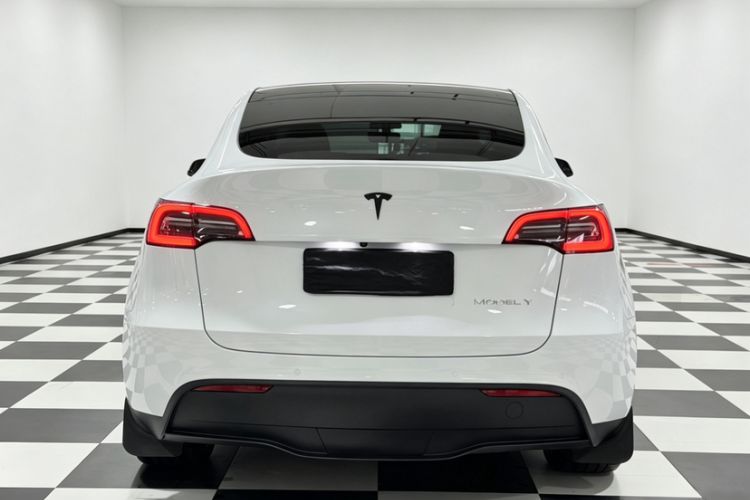 Used Tesla Model Y 2023 Long-Range All-Wheel-Drive Version Exterior 5