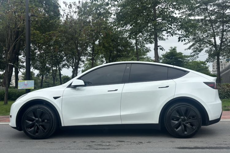 Used Tesla Model Y 2023 Rear-Wheel-Drive Version Exterior 5