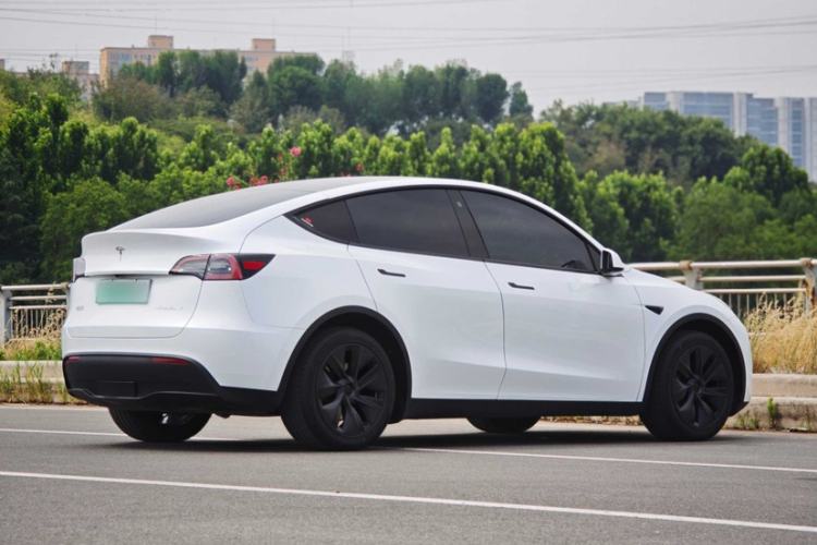 Used Tesla Model Y 2023 Long-Range All-Wheel-Drive Version Exterior 5