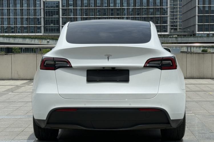 Used Tesla Model Y 2023 Long-Range All-Wheel-Drive Version Exterior 6