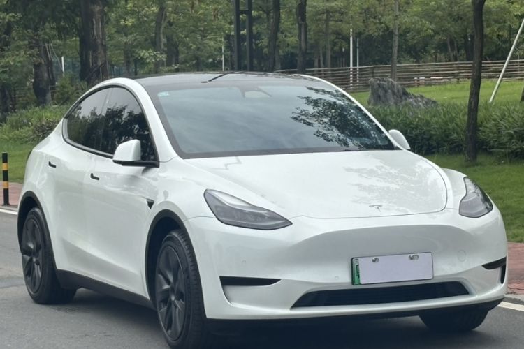 Used Tesla Model Y 2023 Rear-Wheel-Drive Version Exterior 6
