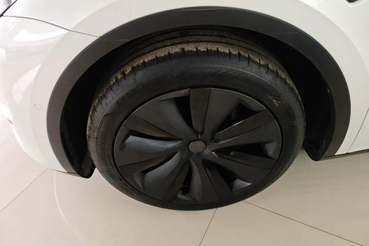 Used Tesla Model Y 2023 Rear-Wheel-Drive Version Exterior 7