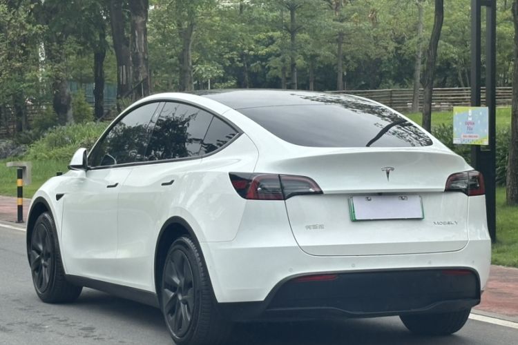 Used Tesla Model Y 2023 Rear-Wheel-Drive Version Exterior 7