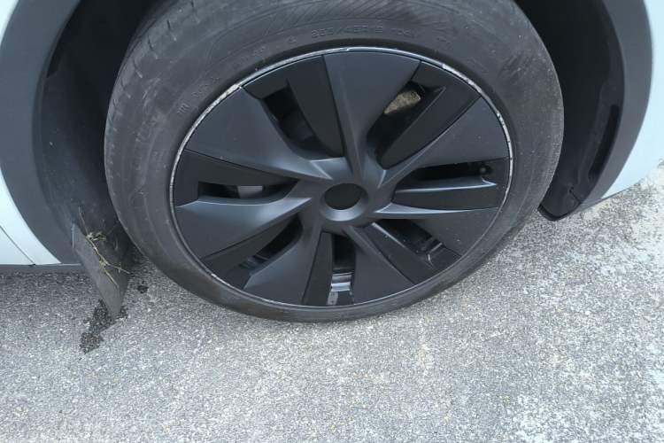Used Tesla Model Y 2023 Rear-Wheel-Drive Version Exterior 7