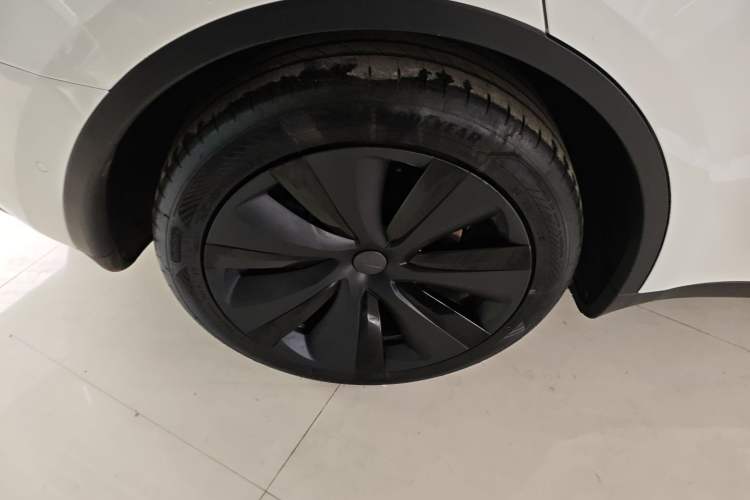Used Tesla Model Y 2023 Rear-Wheel-Drive Version Exterior 8