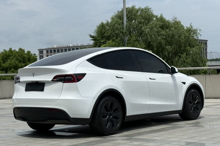 Used Tesla Model Y 2023 Long-Range All-Wheel-Drive Version Exterior 8