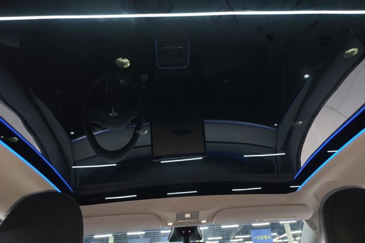 Used Tesla Model Y 2023 High-Performance All-Wheel-Drive Version Headliner