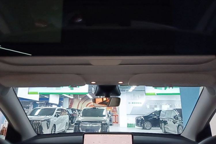 Used Tesla Model Y 2023 Rear-Wheel-Drive Version Headliner