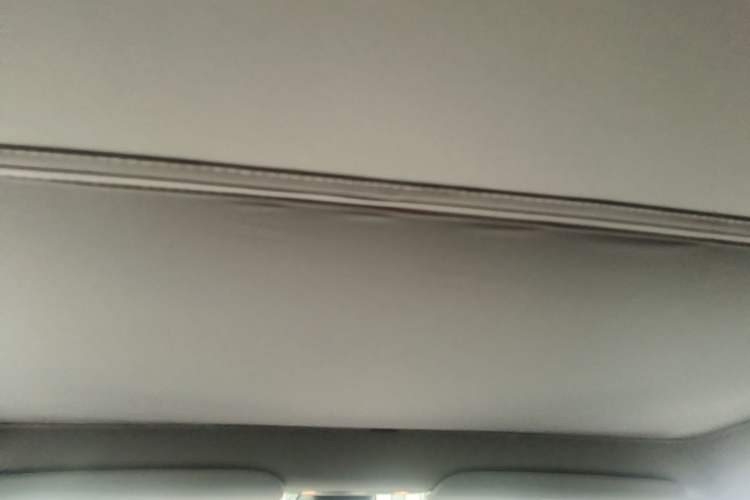 Used Tesla Model Y 2023 Rear-Wheel-Drive Version Headliner