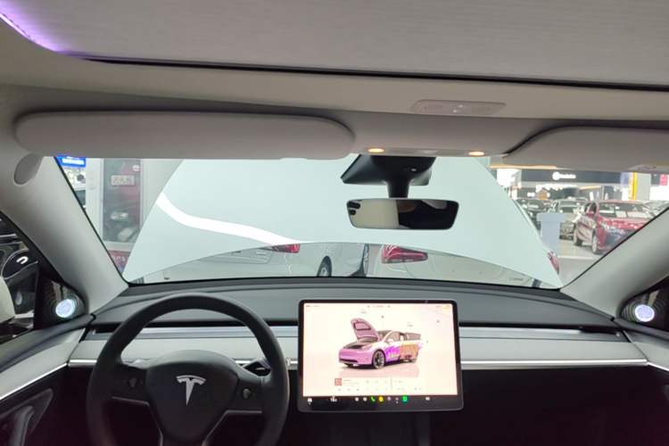 Used Tesla Model Y 2023 Long-Range All-Wheel-Drive Version Headliner