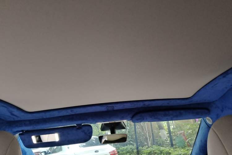 Used Tesla Model Y 2023 Rear-Wheel-Drive Version Headliner
